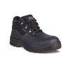 DOT GRANITE SAFETY BOOTS
