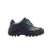 BOVA TRAINER